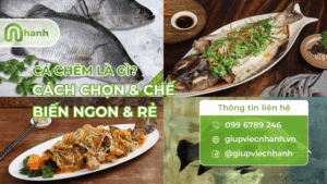 Tổng hợp hình ảnh cá chẽm tươi sống và các món ăn chế biến từ cá chẽm thơm ngon.