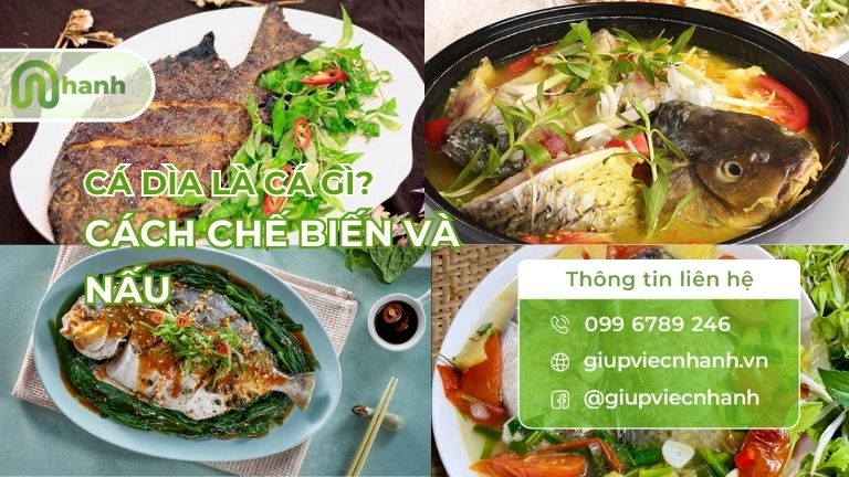 cá dìa nấu gì ngon