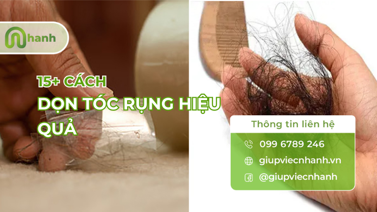 dọn tóc rụng hiệu quả